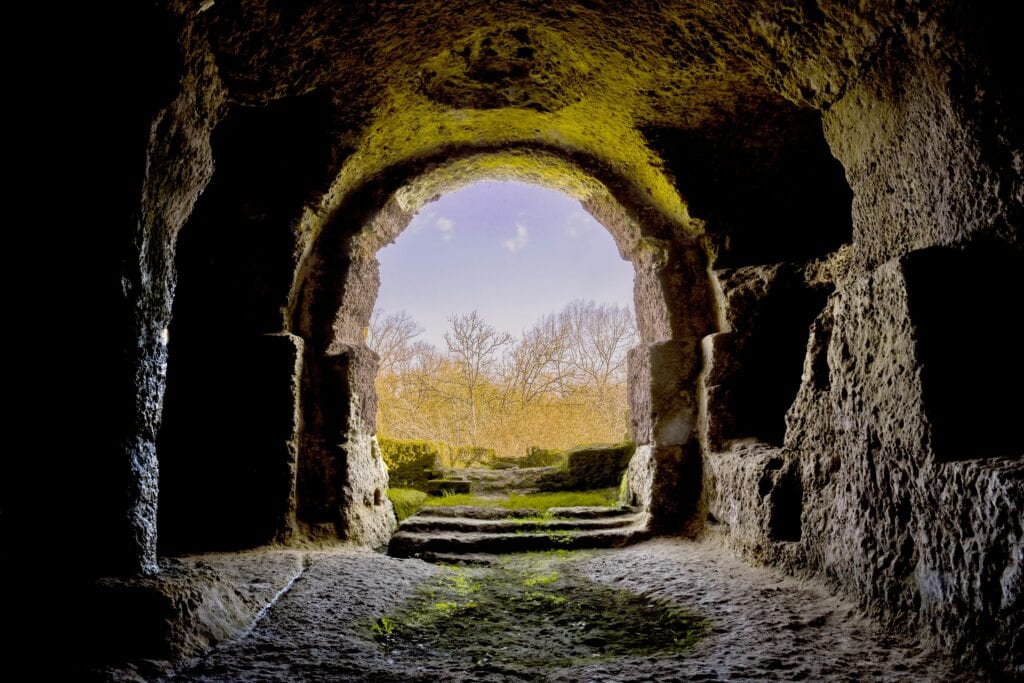 Ancient cave entrance overlooking forest